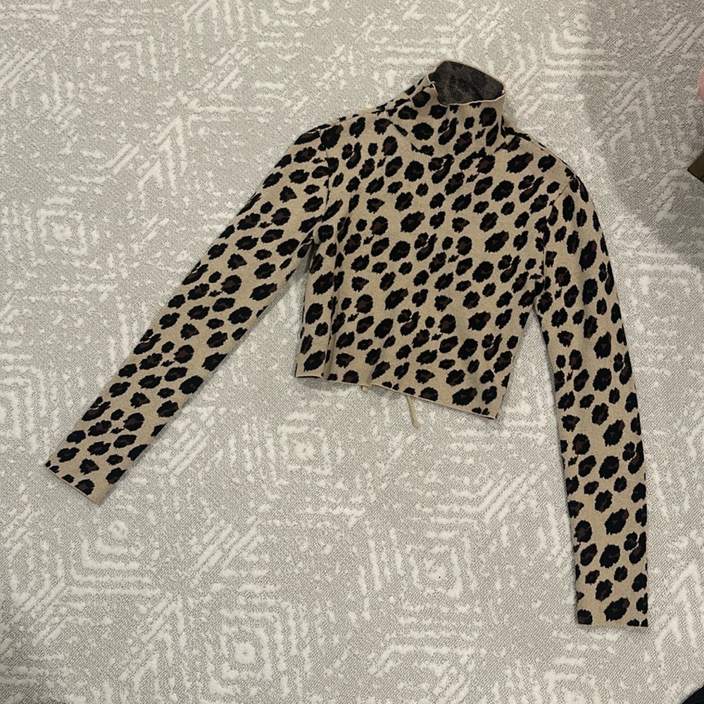 Zara Cheetah Sweater